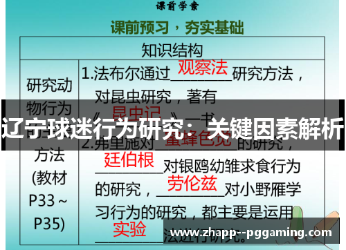 辽宁球迷行为研究:关键因素解析 辽宁球迷行为研究:关键因素解析