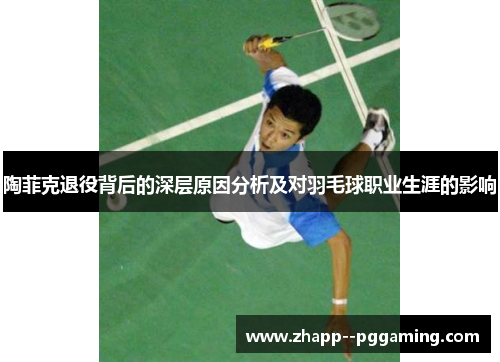 陶菲克退役背后的深层原因分析及对羽毛球职业生涯的影响