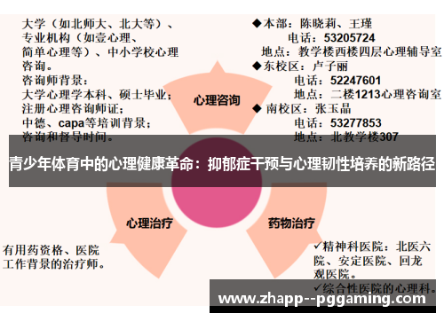 青少年体育中的心理健康革命：抑郁症干预与心理韧性培养的新路径